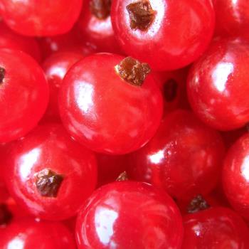 Redberries